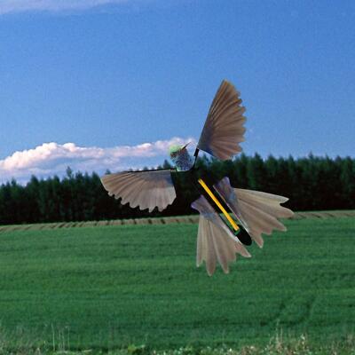 Outdoor Fliegender Vogel Spielzeug Fee Flugspielzeug Fliegendes Lesezeichen Spielzeug Aufzieh Kolibri