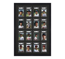 SGC Graded Card Frame Display Holds (16) Slabs Baseball, UV Protection