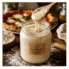 Live Neapolitan Sourdough Starter 70g Active Pizza Dough Yeast Culture