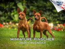 Miniature Pinscher Dog Breed Calendar 2026 12x18 Made in USA