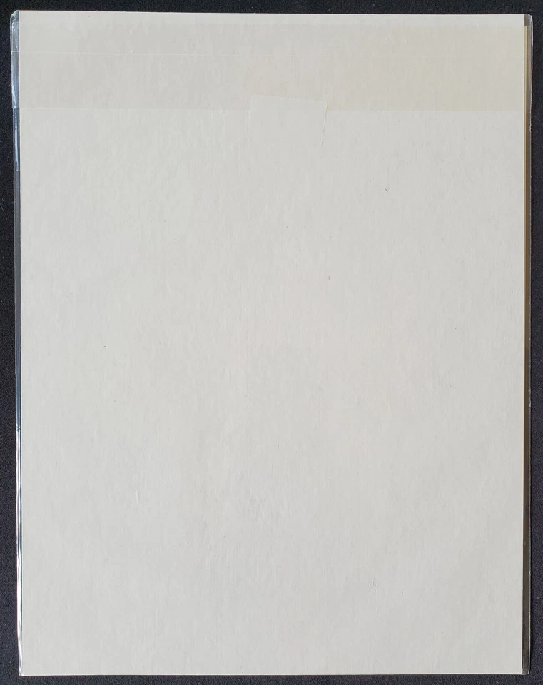 Tarjeta fotográfica Ronnie Lott Los Angeles Raiders NFL 8x10 Intimidator Foto 2 de 2