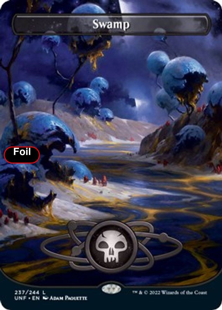 Foil Swamp (Borderless) - 237 - NM - Unfinity