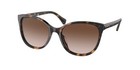 Ralph Ra5282U 500313 Cat Eye Havana Brown Brown Gradient 55 mm Womens Sunglasses