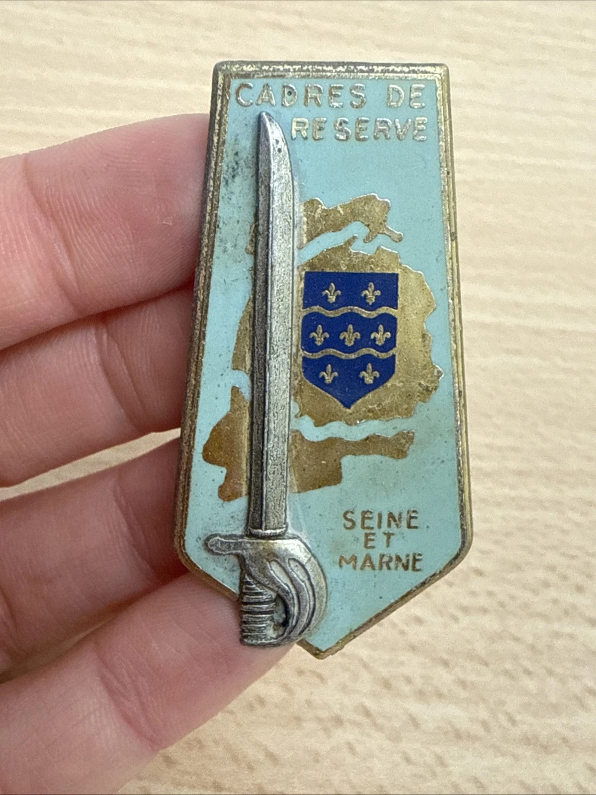 Médaille Plaque Cadres De Réserve Seine Et Marne Épée Écusson