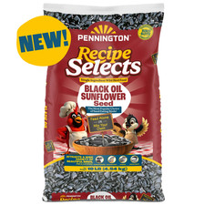 Pennington Recipe Selects Black Oil Sunflower Seed Dry Wild Bird Feed, 10 lb.