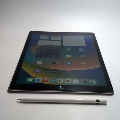 Apple iPad Pro 12,9 Zoll 1. Gen.  128GB Wi-Fi + Cellular Space Grau K324