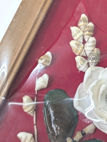 Sea Shell Art Picture Floral Art Wood Frame Vintage 8" X 6" - Picture 5 of 9