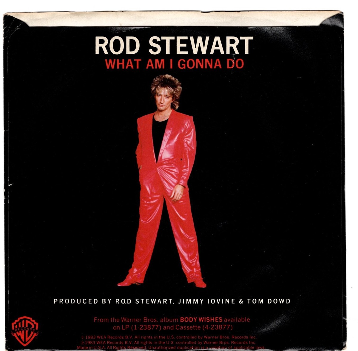 Rod Stewart (RARE!! CDシングル10枚セット送料込み!!) Rod Stewart