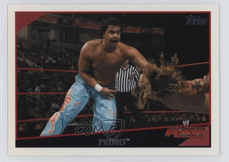 2009 Topps WWE Primo #6 0w8