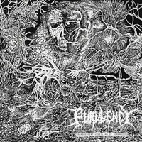 Purulency - Transcendent Unveiling Of Dimensions - Cd - G3Z