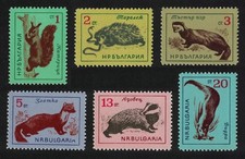 Squirrel Hedgehog Marten Badger Otter Woodland Animals 6v Bulgaria 1963 MNH