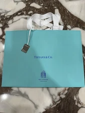 Tiffany & Co Empty Paper Gift Shopping Bag The Landmark W Charm  15 x 11 x 8