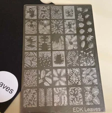 Esmaltes da Kelly Nail Art Accessories Stamping Plates small and large plates