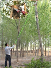 26 FOOT POLE SAW Tree Trimmer Saw Tree Pruner Tree Saw Long Trimmer Cutter Saw