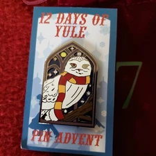The Wizarding Trunk EXCLUSIVE HARRY POTTER Enamel Pin OWL 
