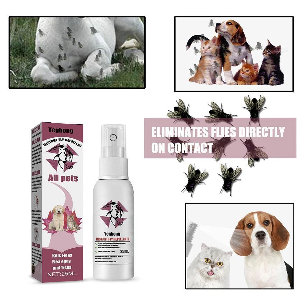 Anti flies hotsell for dogs