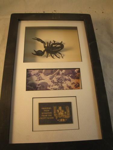 THE MUMMY RETURNS - SCREEN USED PROP - Scorpions from Crypt Scene COA ...