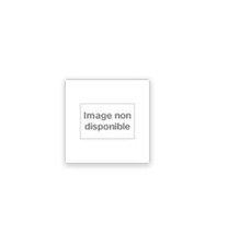 La Pucelle - Monteilhet, Hubert