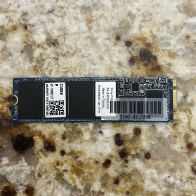 Sony 256GB M.2 SATA 2280 Solid State Drive. MINT.