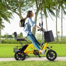 HMLAND Electric Tricycle for Adults Electric Trike with 480Wh Removable Battery