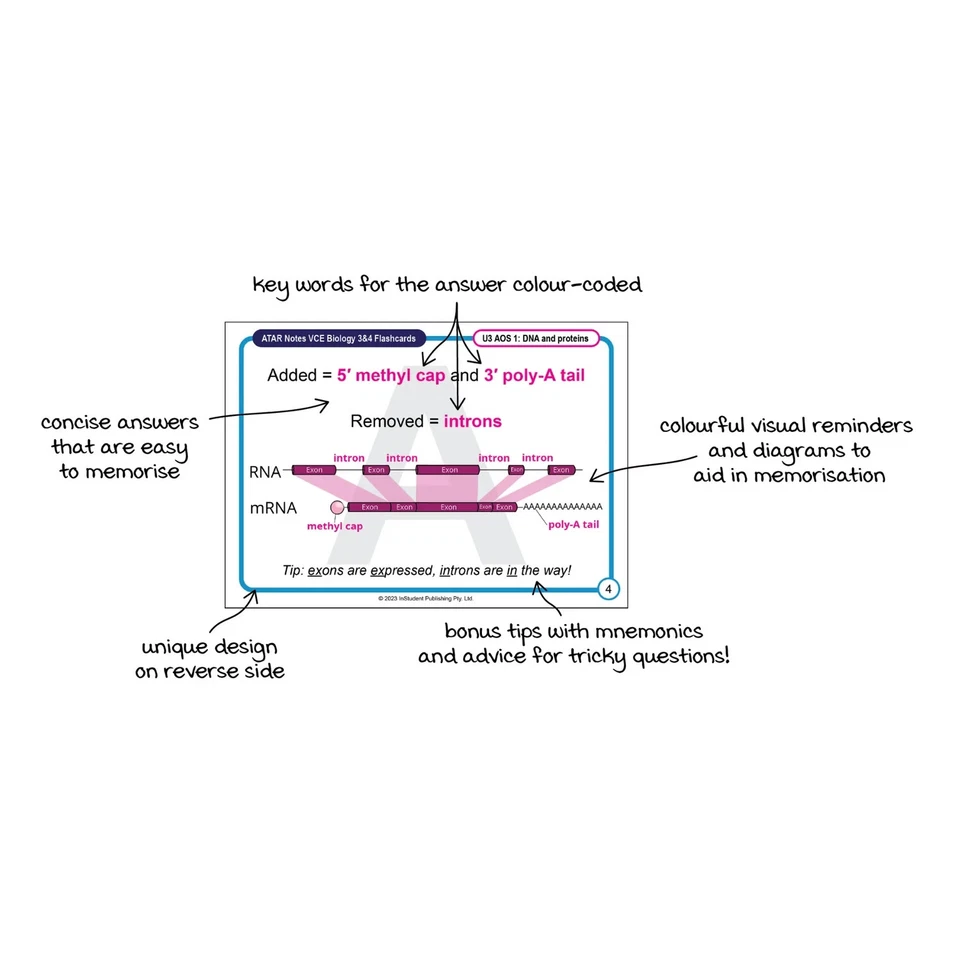 ATAR Notes HSC Year 12 Legal Studies Flashcards - image 2 of 4