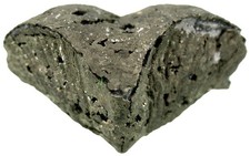 Devon  Paraspirifer bownockeri Begehrter Pyrit - Brachiopode Silica Ohio  W25-11