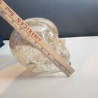 Bild 8 von 12