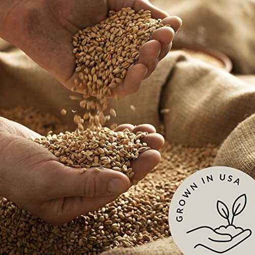 Spelt Farro Grain Organic 5.8 lb Whole Wheat Berries Bulk Ancient