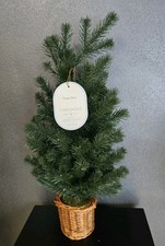 22 Inch Pine Artificial Tree in Basket - Threshold designed with Studio McGee