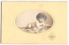 Fotografie Curt Schröder, Döbeln, Zwingerstr. 33, niedlicher kleiner Knabe mit  
