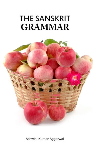Ashwini Kumar Aggarwal | The Sanskrit Grammar | Buch | Englisch (2019)-image