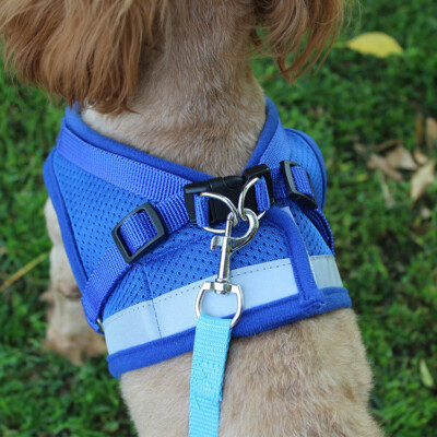 Small Dog Breathable Mesh harness Vest Collar soft chest strap XS-XL Leash set 