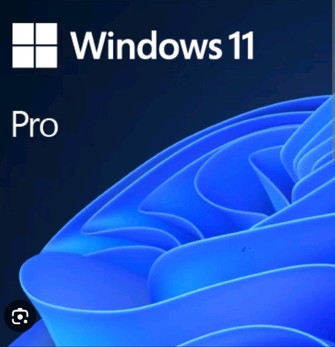 Microsoft Windows 11 Professional 64 bits