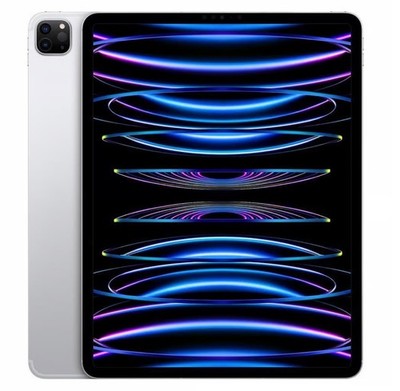 Neu! Apple 11'' iPad Pro Wi-Fi + 5G Silber 2022 M2 256GB MwSt!