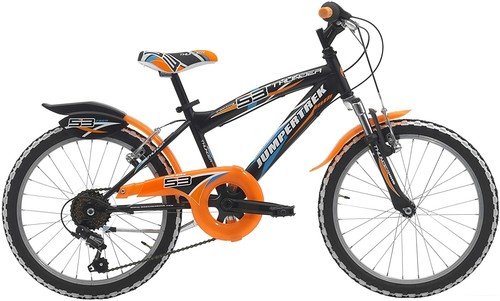 BICI BICICLETTA CINZIA THUNDER MTB BOY 20'' SHIMANO 6V AMMORTIZZATA | eBay