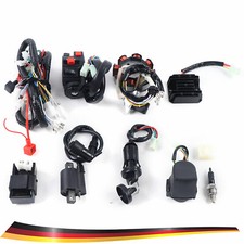 Für ATV QUAD 150-250 300CC Komplette Elektro Kabelbaum Gleichrichter Nagelneu