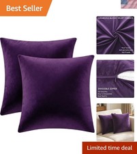 2 Pack 18x18 Pillow Cover Velvet Pillow Covers, Throw Pillow Covers for Livin...