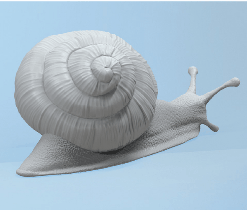 Giant Africa Snail 3D Unpainted Figure Model GK Blank Kit New Hot Toy In Stock - Picture 8 of 8
