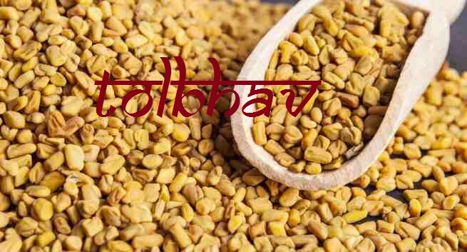 100% Certificado Orgánico Natural Puro Fenogreco Semilla Methi de la India