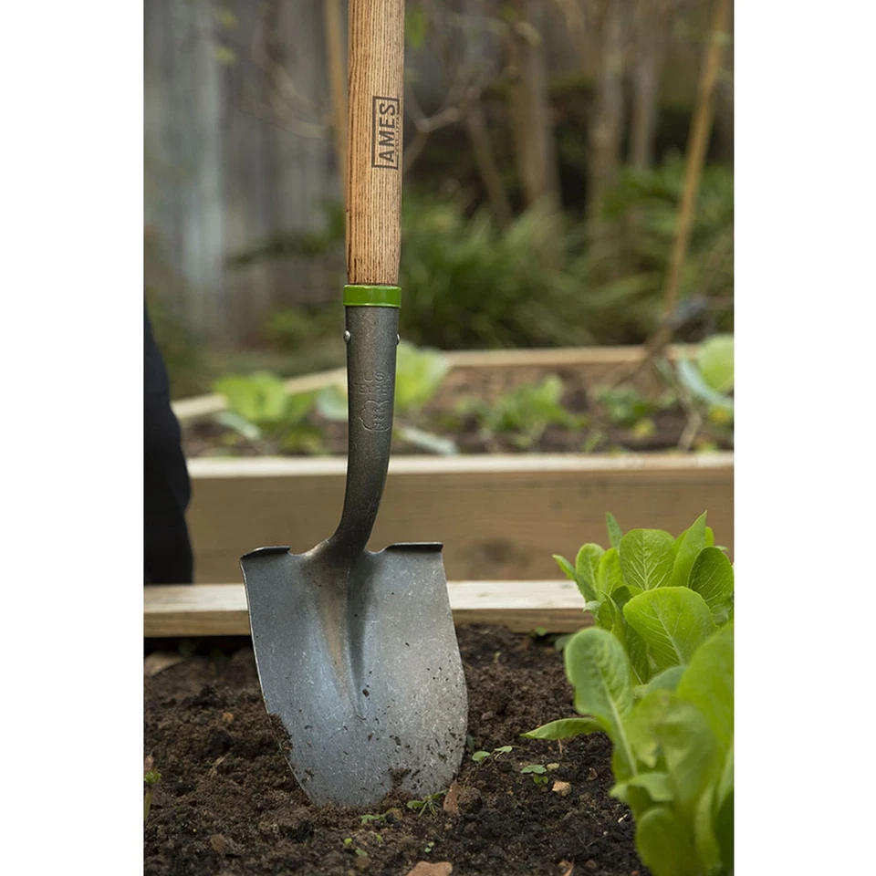 AMES Floral Round Point Shovel (2916100) - Image 3 of 4