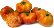 100 Heirloom Old German Tomato Seeds -Giant 2LB Red&Yellow Striped Indeterminate