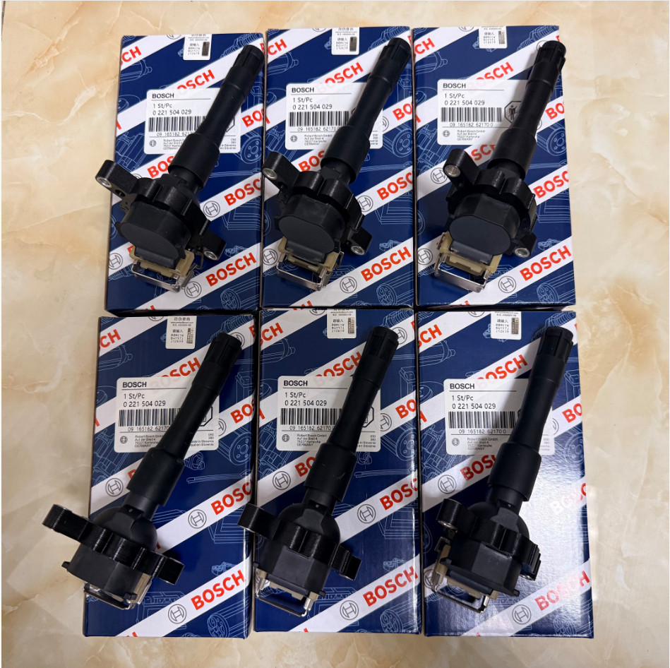 6PCS Bosch Ignition Coil 0221504029 For BMW E36 E46 E39 E38 E53 323i 528i 325xi