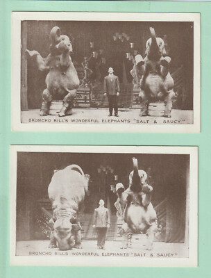 2 x frühe Postkarten Broncho Bill's Wonderful Elephants - ''Salt & Saucy'' - Unp