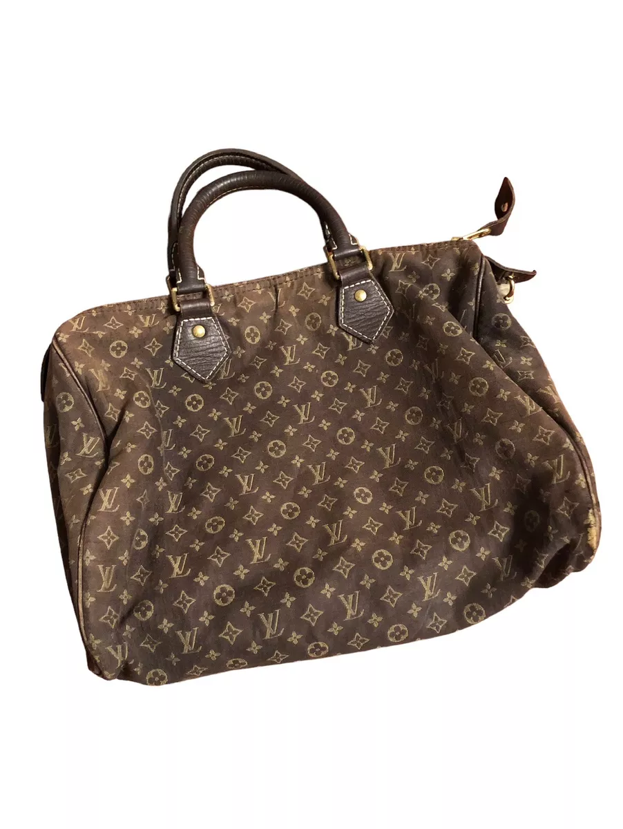 Louis Vuitton Monogram Mini Lin Speedy 30