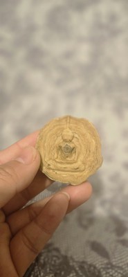 Phra Siwali Amulet Thai Buddha 20mm Relic Stone Holy Khao Samroi Yo 2129