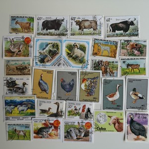 farm animals ebay