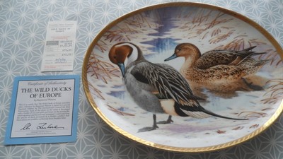 Franklin Mint Wild Ducks Of Europe Teller Pintail Raymond Watson 1988 sehr guter Zustand - COA