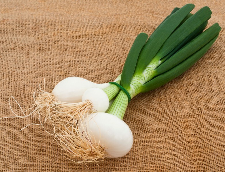 Cebolleta - Vaugirard Borettane 200 Semillas