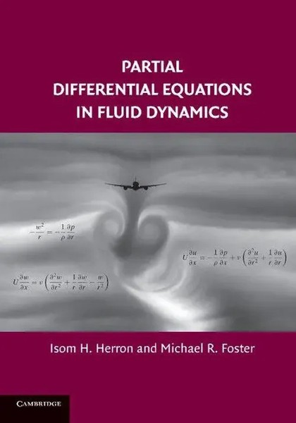 Isom H. Herron (U. A.) | Partial Differential Equations In Fluid Dynamics | Buch-image