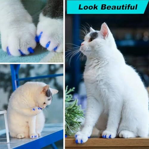 Nail Clippers Cat Paw Caps Cat Claw Caps Cruel Clear Soft Claws